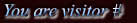 You are visitor # 
